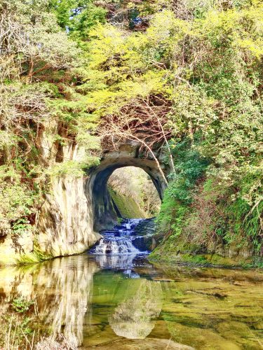 【4月限定】春の南房総絶景スポット巡り