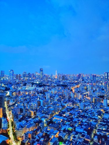 【保存版】都内の無料絶景夜景10選