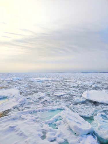 【2月中旬〜3月上旬限定】オホーツク海流氷