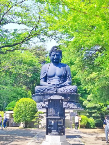 【板橋区散策】日本で3番目に大きな大仏&熱帯環境植物館