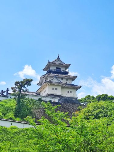 【日本初】本格木造天守閣の掛川城