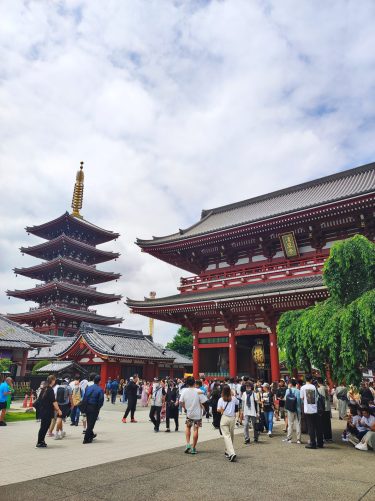 【4年ぶり】三社祭 in 浅草