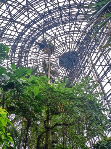 夢の島熱帯植物館