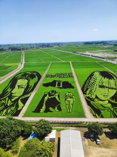 田んぼアート2023 in 行田