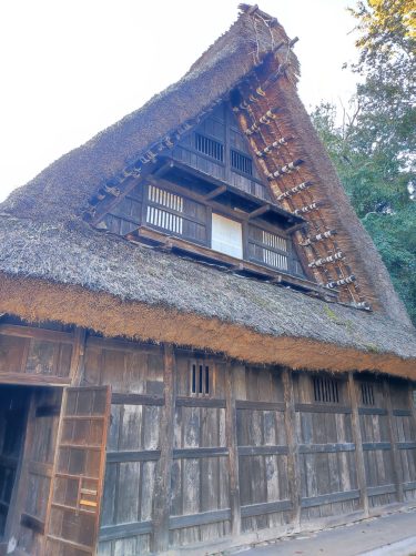 生田緑地 in 川崎